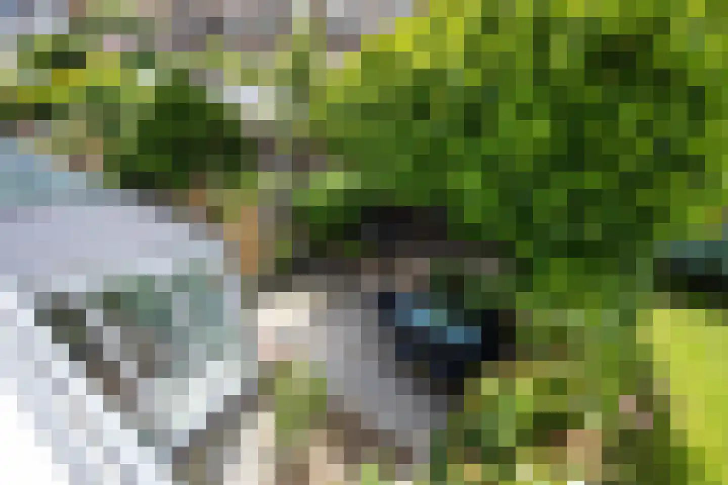 Binckhorstlaan 17 Voorburg thumbnail 41