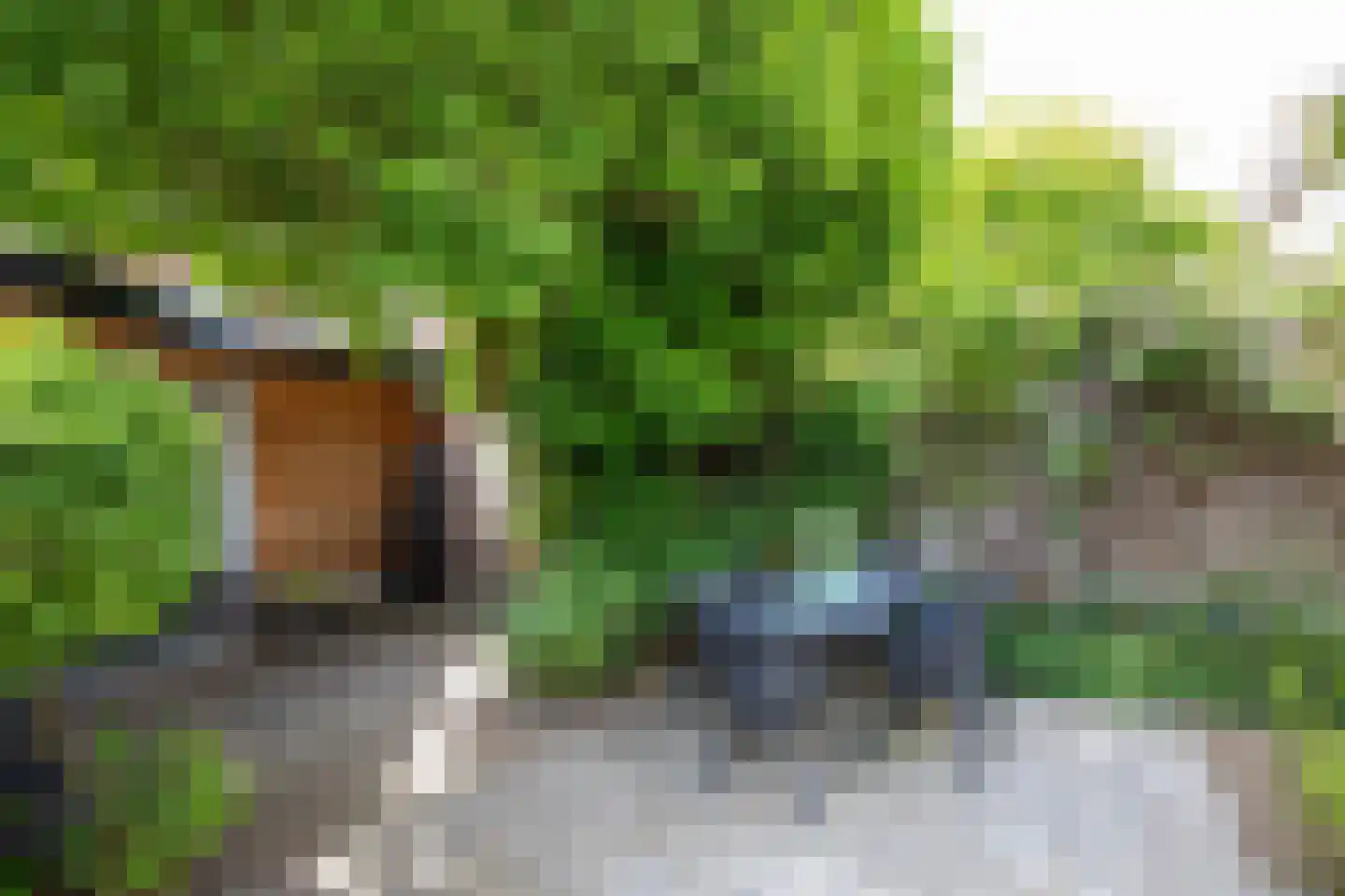 Binckhorstlaan 17 Voorburg thumbnail 42