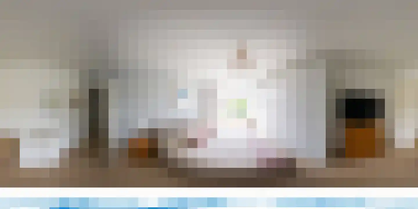Binckhorstlaan 17 Voorburg thumbnail 51