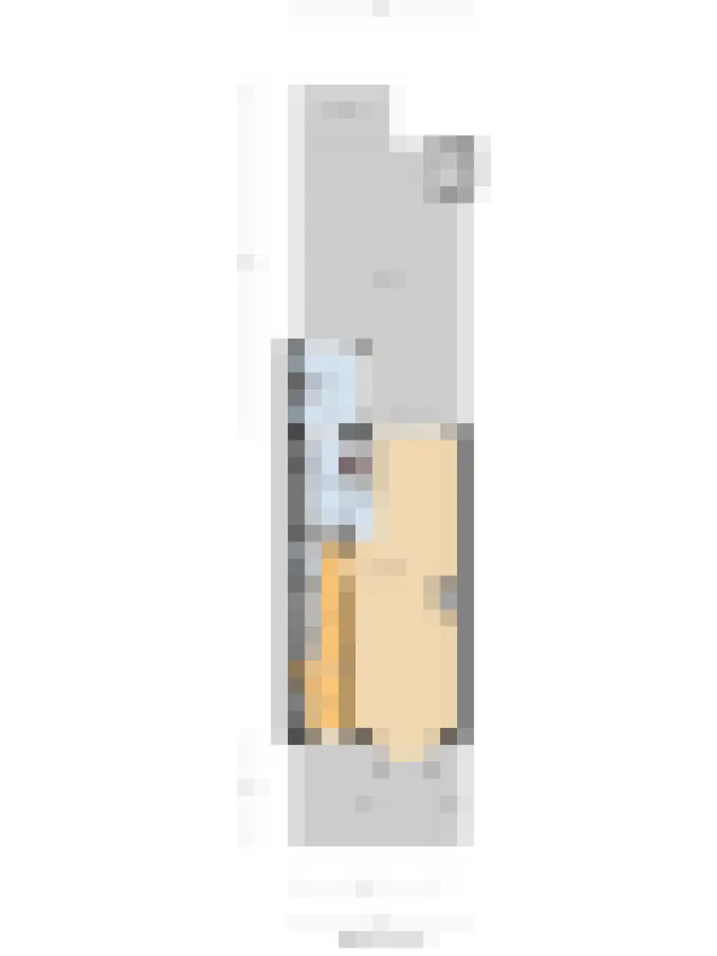 Binckhorstlaan 17 Voorburg thumbnail 69