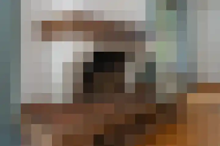Binckhorstlaan 2 Hollandsche Rading thumbnail 11