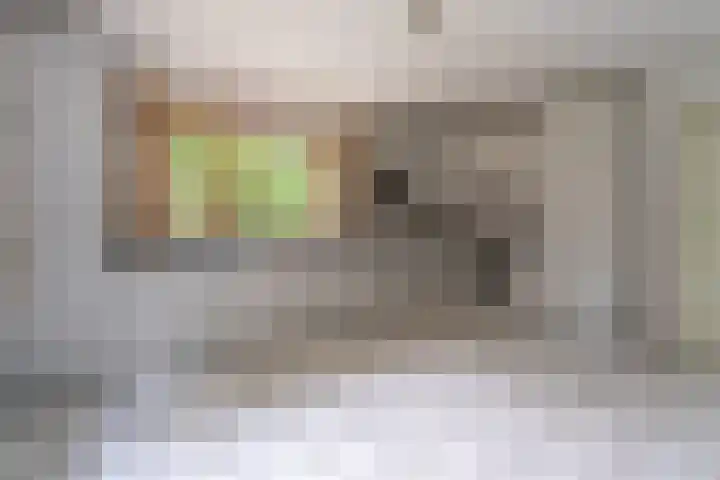 Binckhorstlaan 2 Hollandsche Rading thumbnail 14