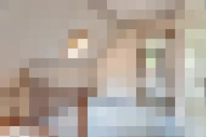 Binckhorstlaan 2 Hollandsche Rading thumbnail 19