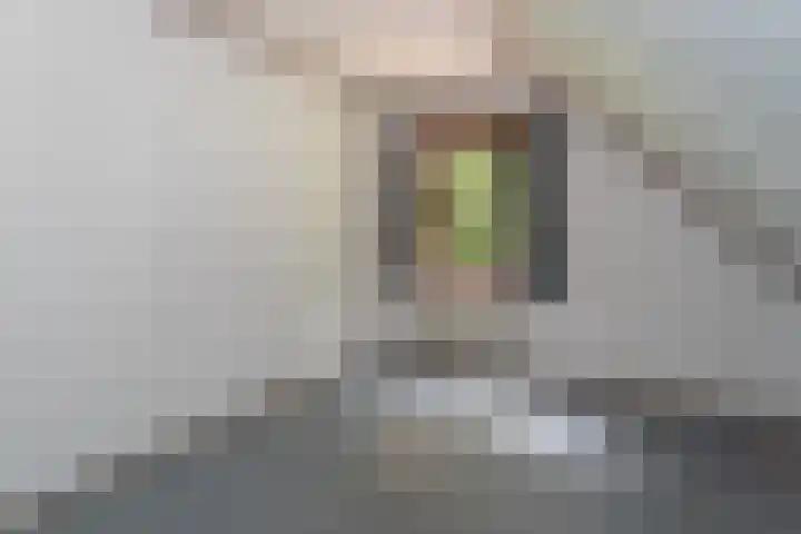 Binckhorstlaan 2 Hollandsche Rading thumbnail 26