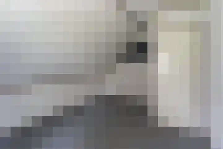 Binckhorstlaan 2 Hollandsche Rading thumbnail 27
