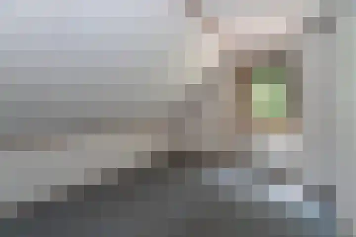 Binckhorstlaan 2 Hollandsche Rading thumbnail 28