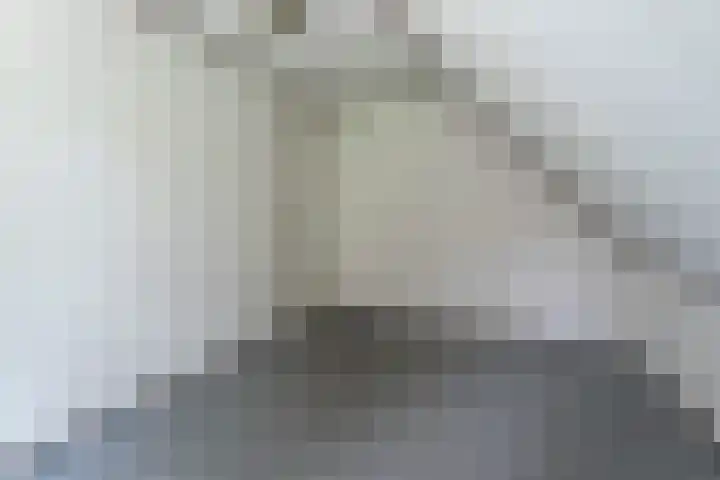 Binckhorstlaan 2 Hollandsche Rading thumbnail 29