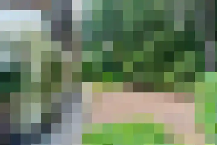 Binckhorstlaan 2 Hollandsche Rading thumbnail 30