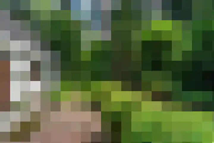 Binckhorstlaan 2 Hollandsche Rading thumbnail 31
