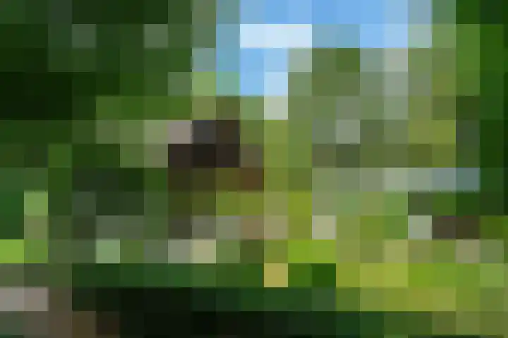 Binckhorstlaan 2 Hollandsche Rading thumbnail 32
