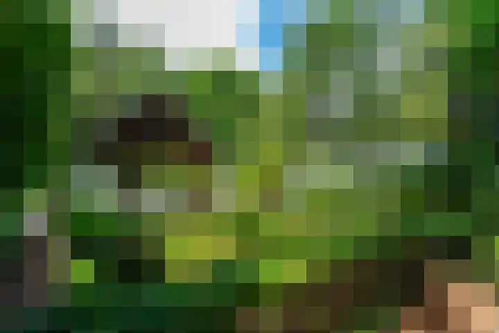 Binckhorstlaan 2 Hollandsche Rading thumbnail 33