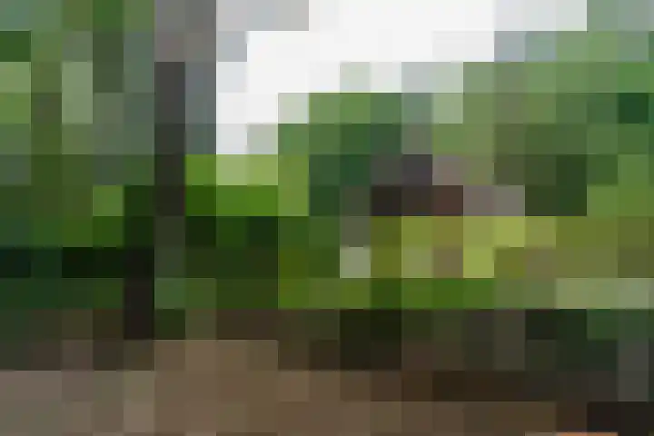 Binckhorstlaan 2 Hollandsche Rading thumbnail 35
