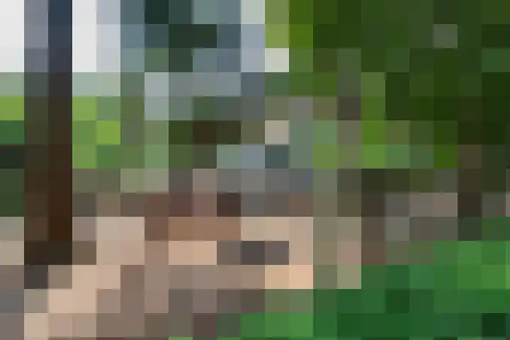 Binckhorstlaan 2 Hollandsche Rading thumbnail 37