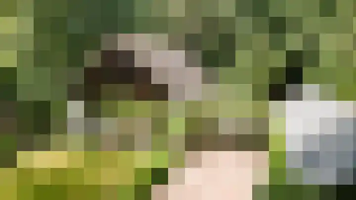 Binckhorstlaan 2 Hollandsche Rading thumbnail 38