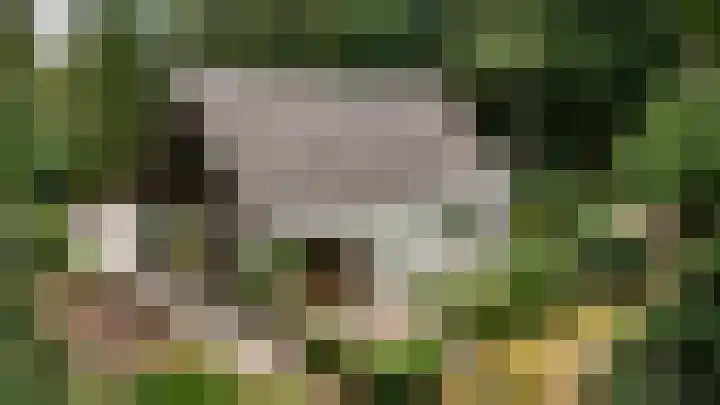 Binckhorstlaan 2 Hollandsche Rading thumbnail 39