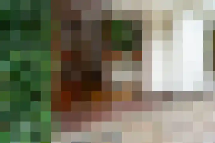 Binckhorstlaan 2 Hollandsche Rading thumbnail 4