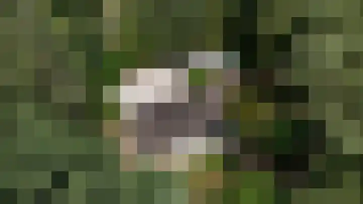 Binckhorstlaan 2 Hollandsche Rading thumbnail 41