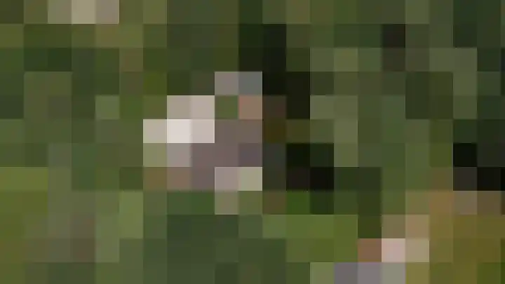 Binckhorstlaan 2 Hollandsche Rading thumbnail 42