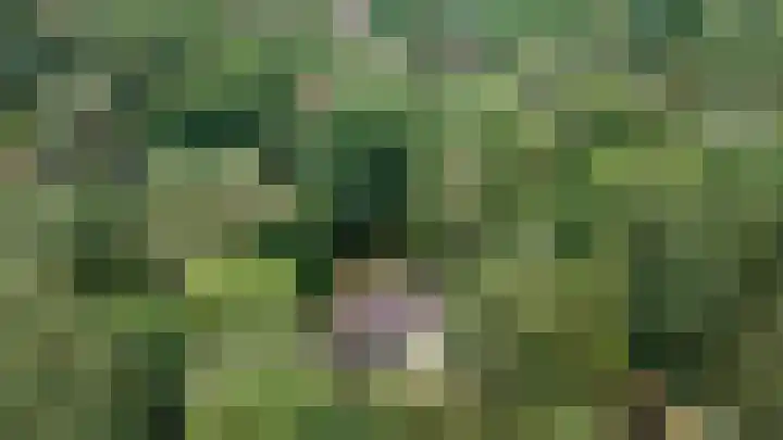 Binckhorstlaan 2 Hollandsche Rading thumbnail 43