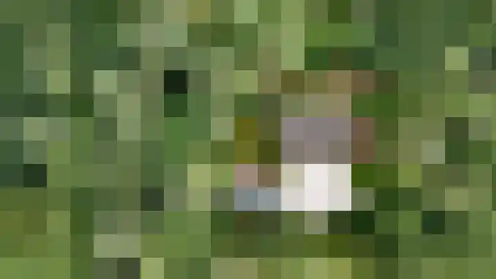 Binckhorstlaan 2 Hollandsche Rading thumbnail 44