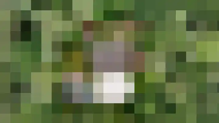 Binckhorstlaan 2 Hollandsche Rading thumbnail 45