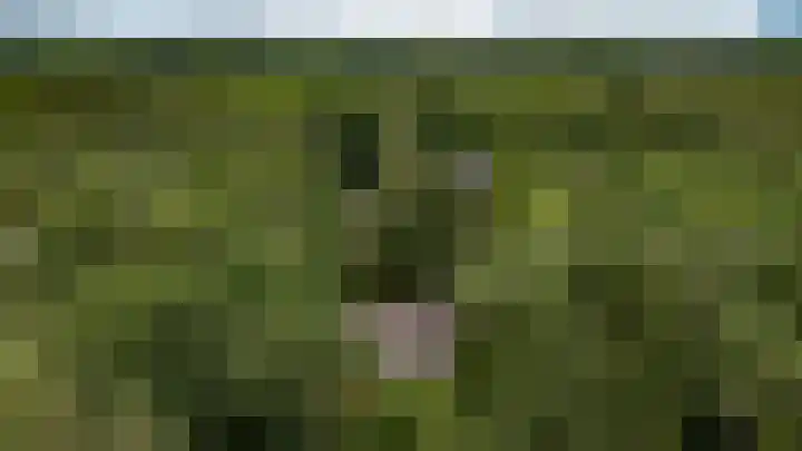 Binckhorstlaan 2 Hollandsche Rading thumbnail 46