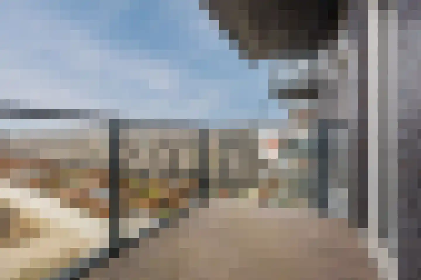 Binckhorstlaan 311 B Den Haag thumbnail 15