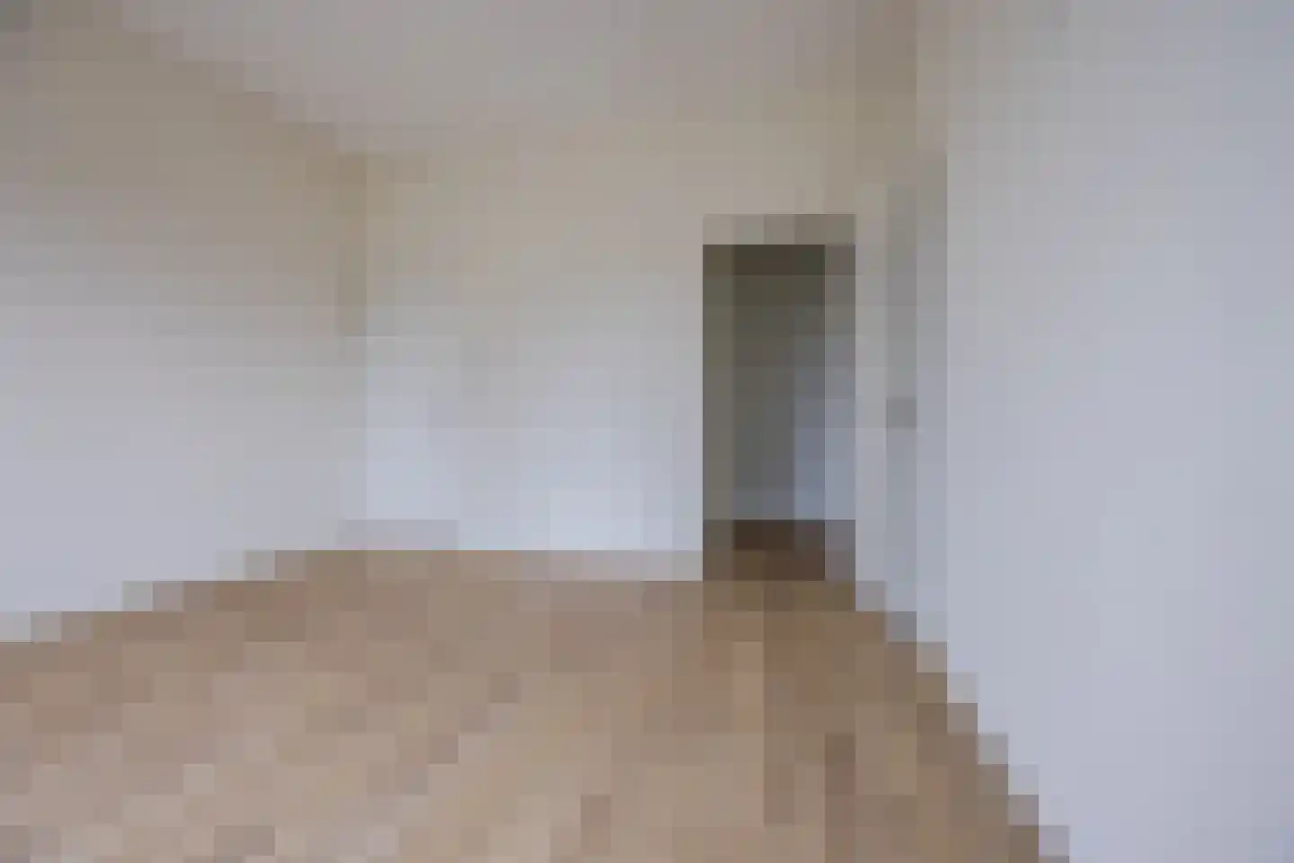 Binckhorstlaan 311 B Den Haag thumbnail 20