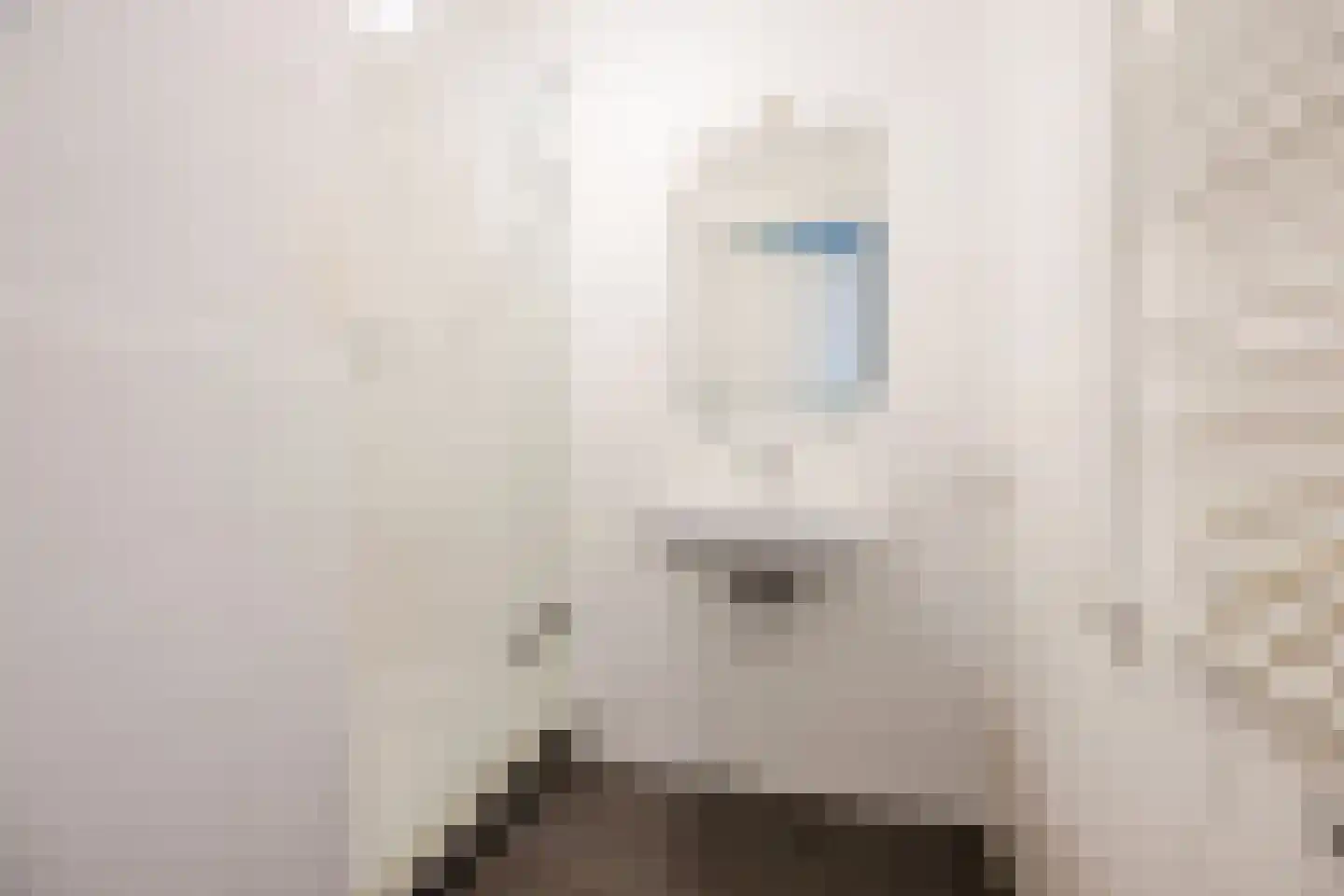 Binckhorstlaan 311 B Den Haag thumbnail 23