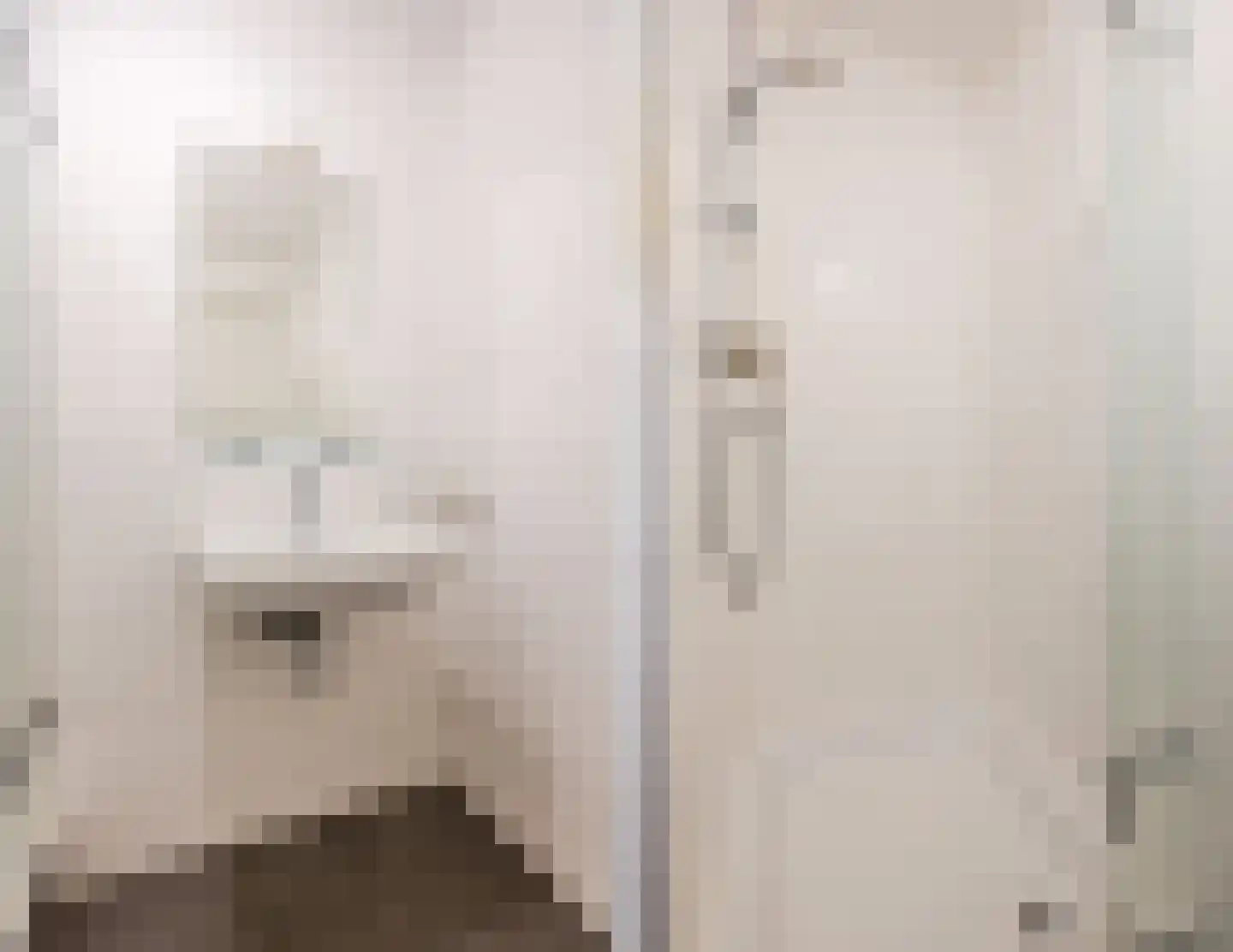 Binckhorstlaan 311 B Den Haag thumbnail 24