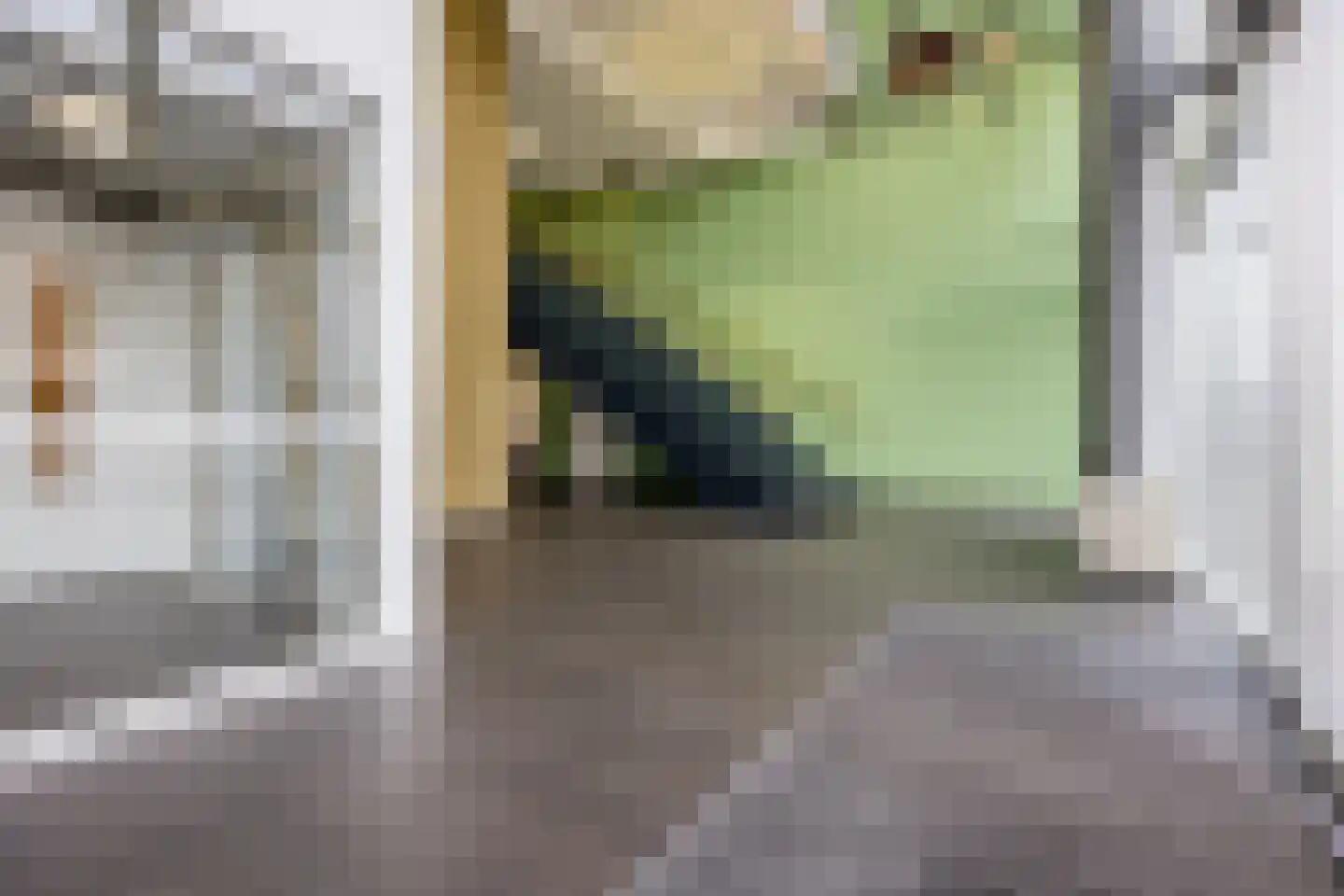 Binckhorstlaan 311 B Den Haag thumbnail 6