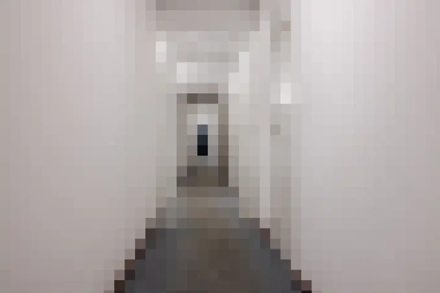 Binckhorstlaan 311 B Den Haag thumbnail 7
