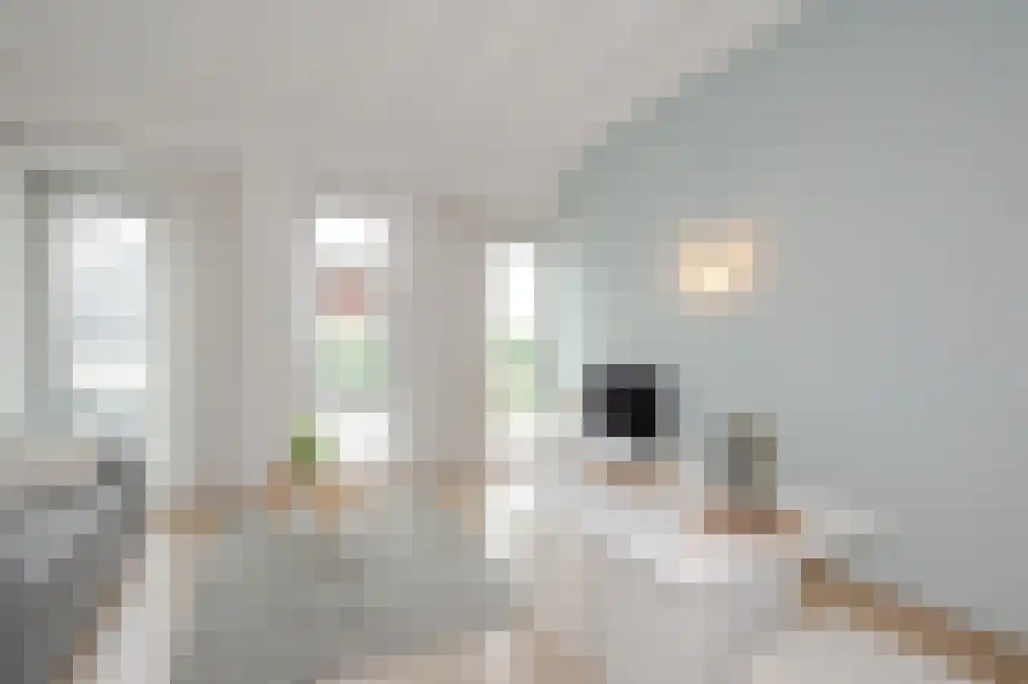 Binckhorstlaan 311 F Den Haag thumbnail 16