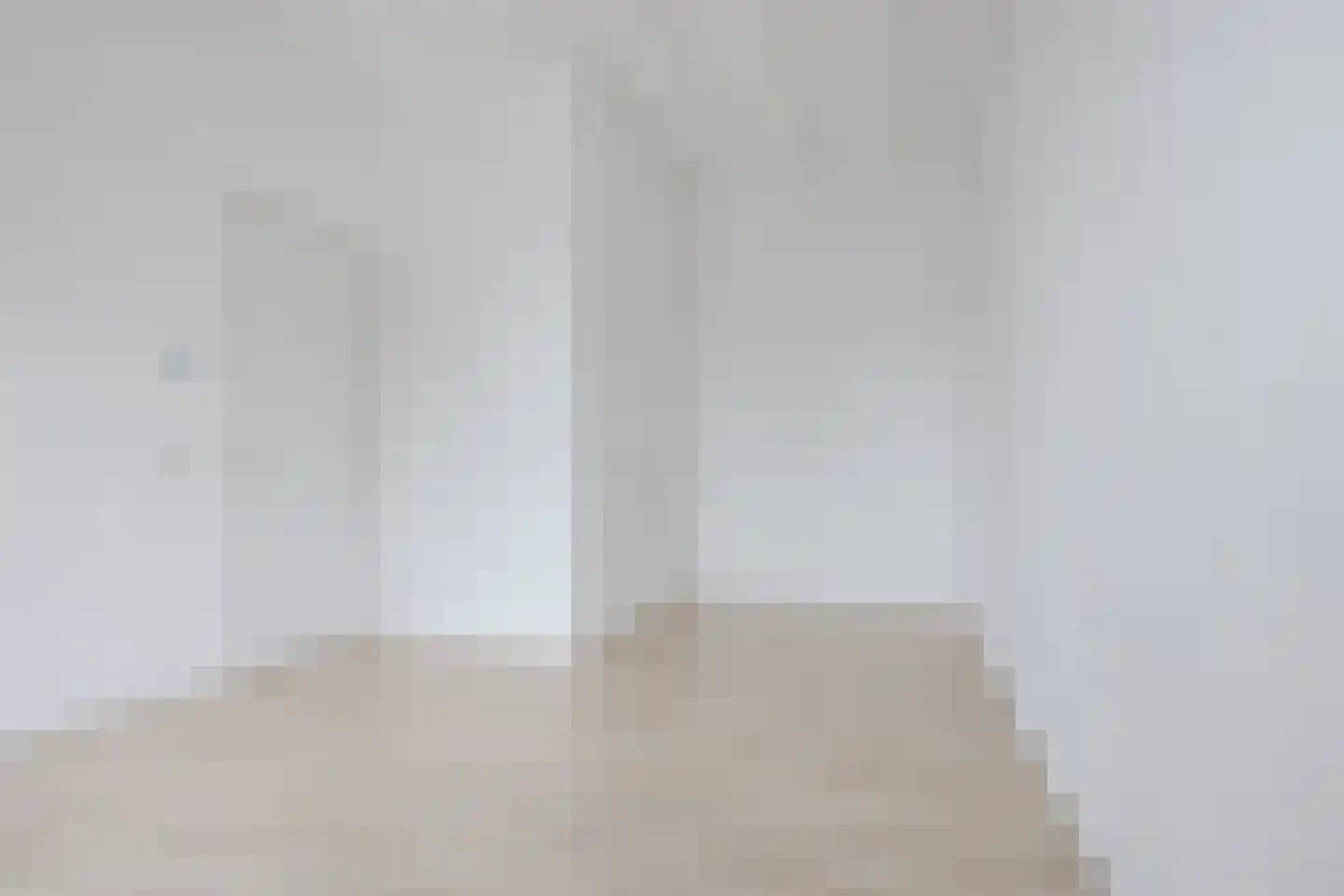 Binckhorstlaan 311 F Den Haag thumbnail 22