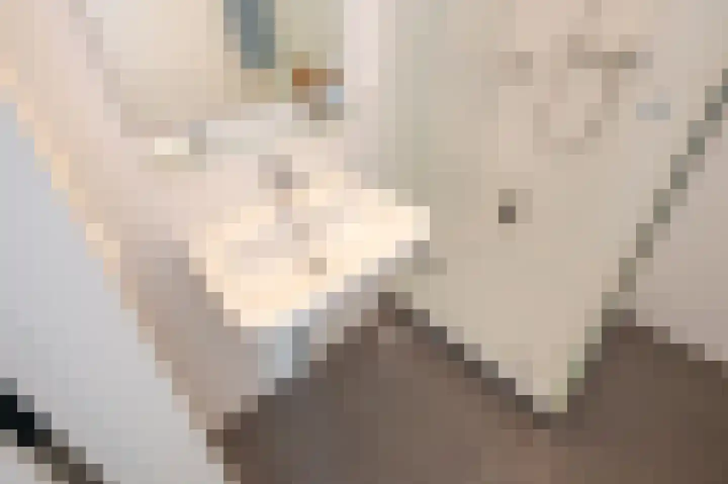 Binckhorstlaan 311 F Den Haag thumbnail 25