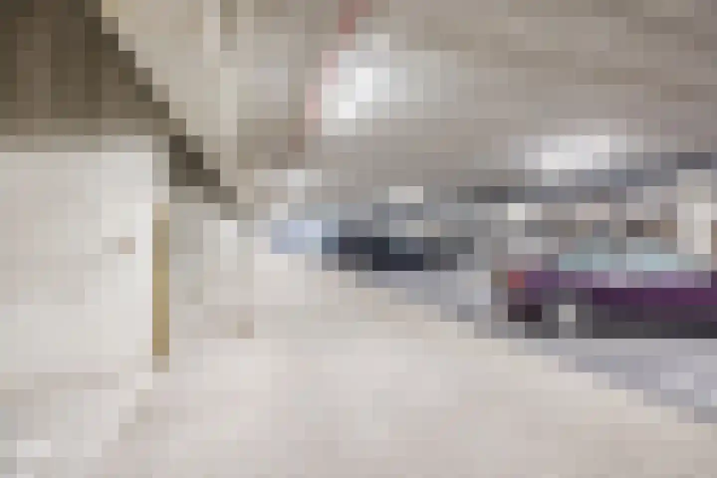 Binckhorstlaan 311 F Den Haag thumbnail 26