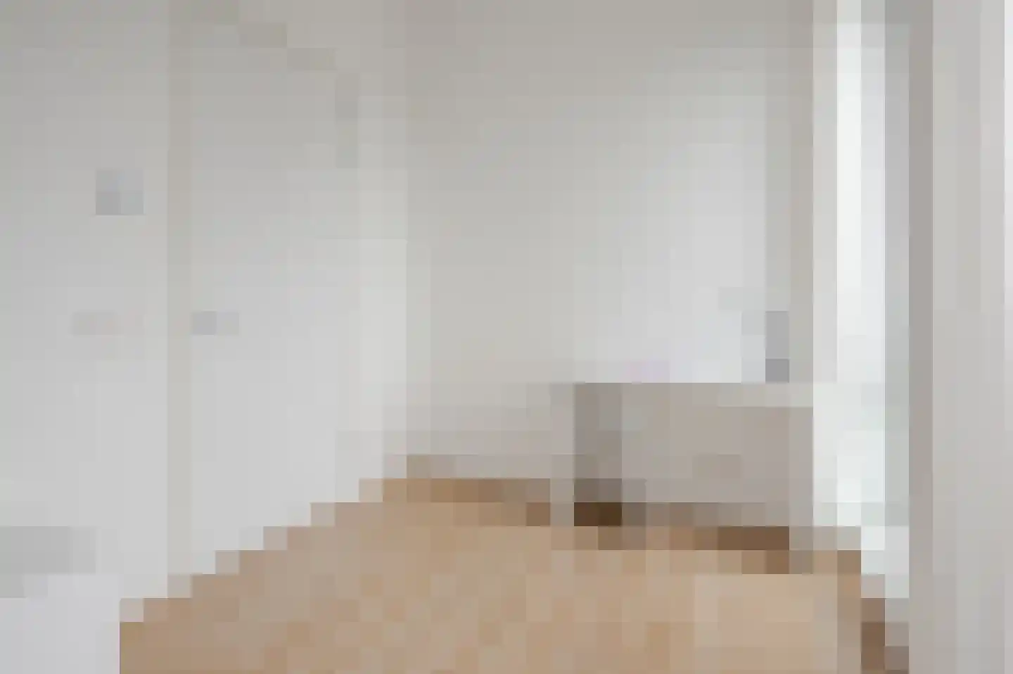 Binckhorstlaan 311 F Den Haag thumbnail 31