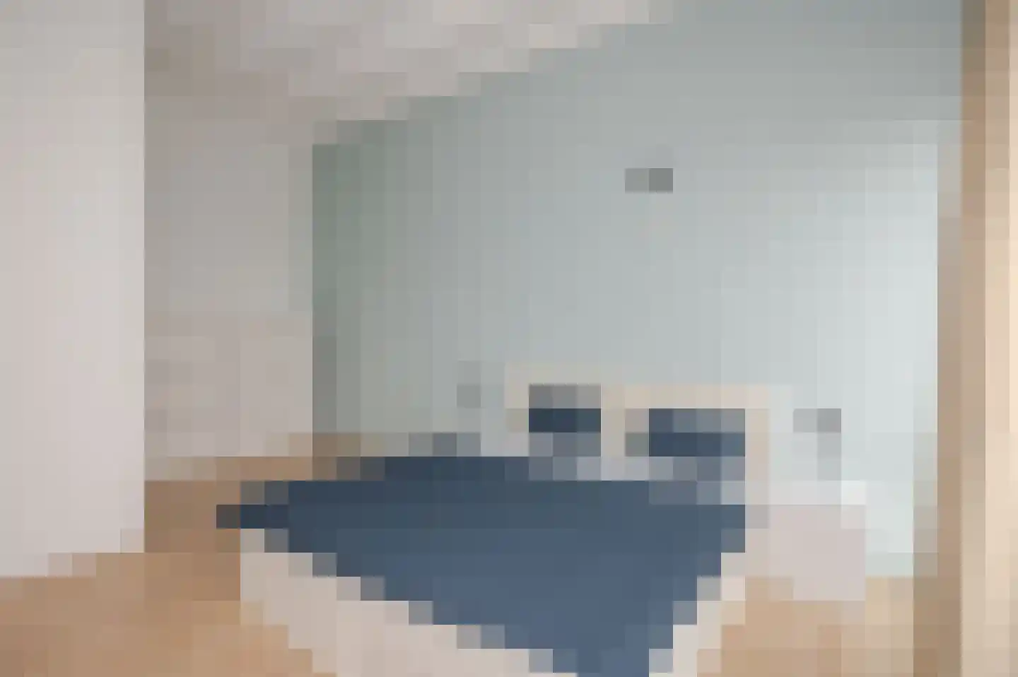 Binckhorstlaan 311 F Den Haag thumbnail 34