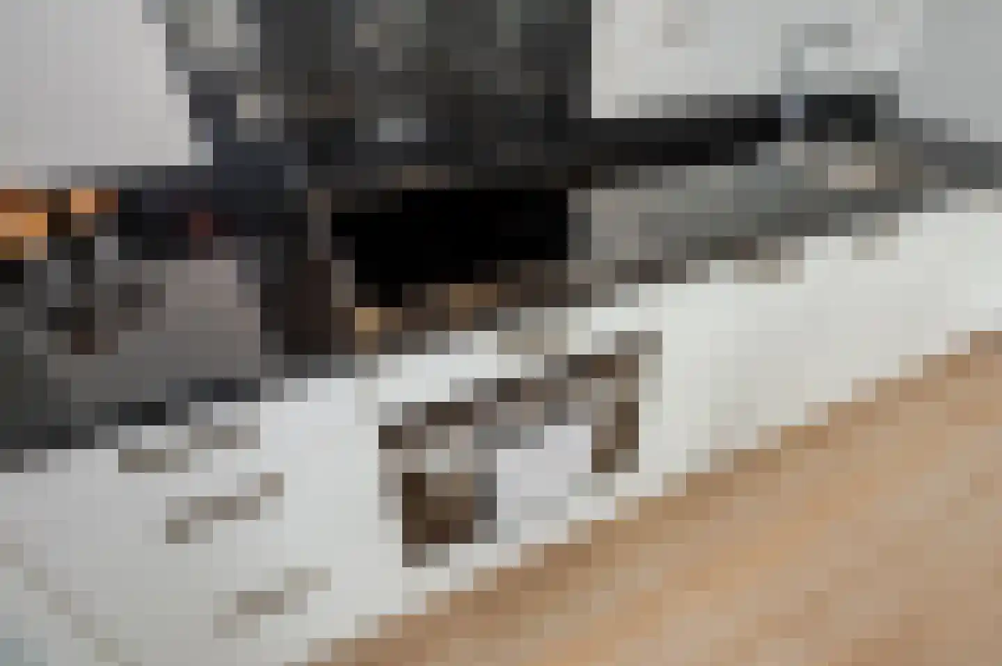 Binckhorstlaan 311 F Den Haag thumbnail 4