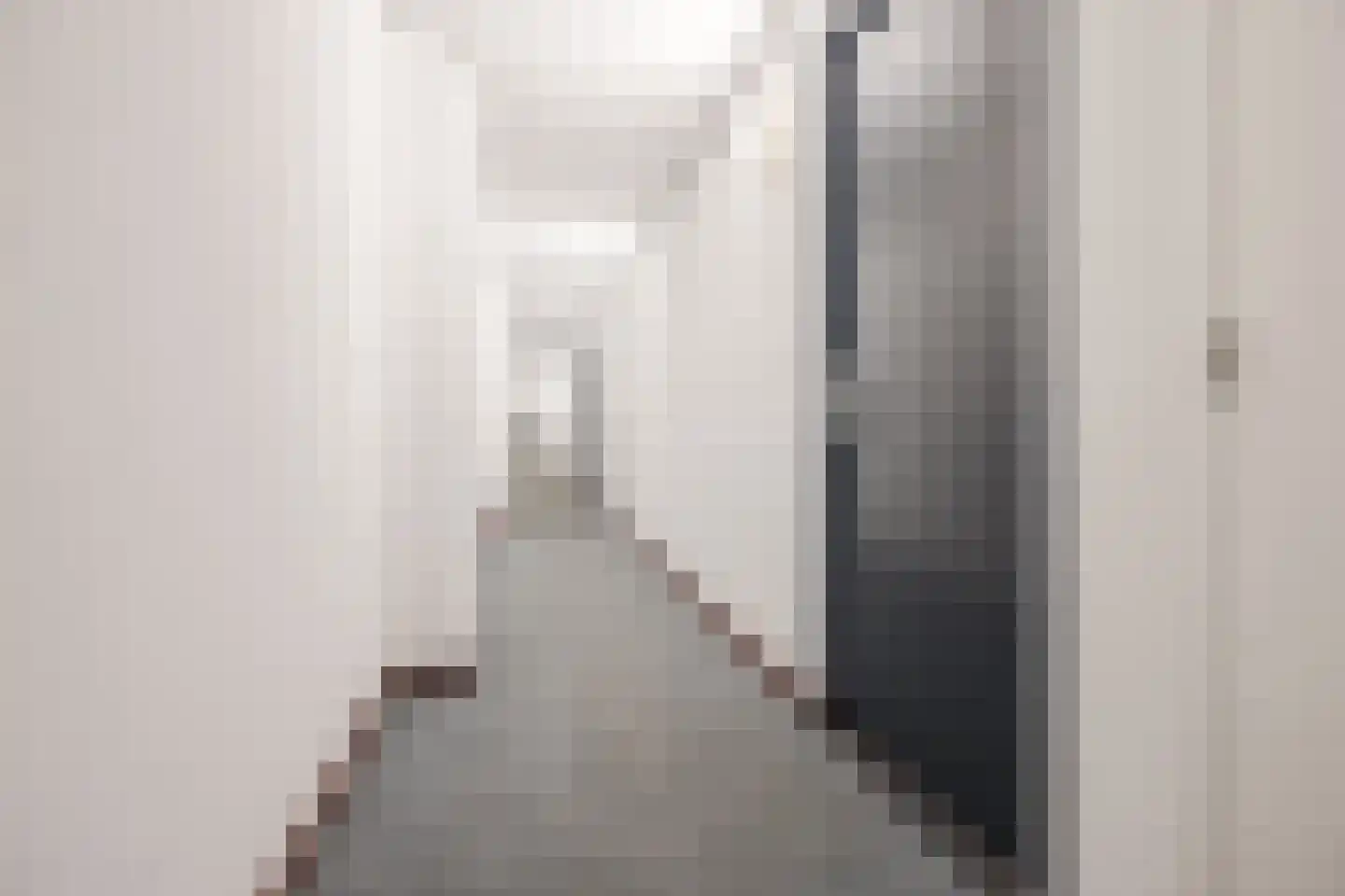 Binckhorstlaan 311 F Den Haag thumbnail 7