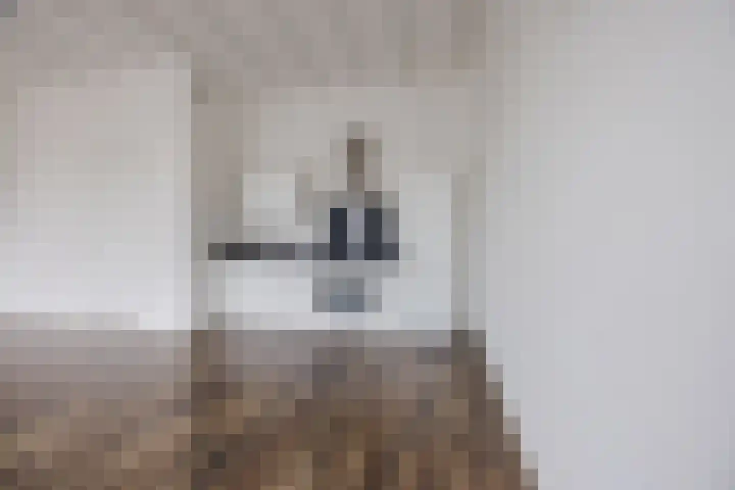 Binckhorstlaan 311 G Den Haag thumbnail 11