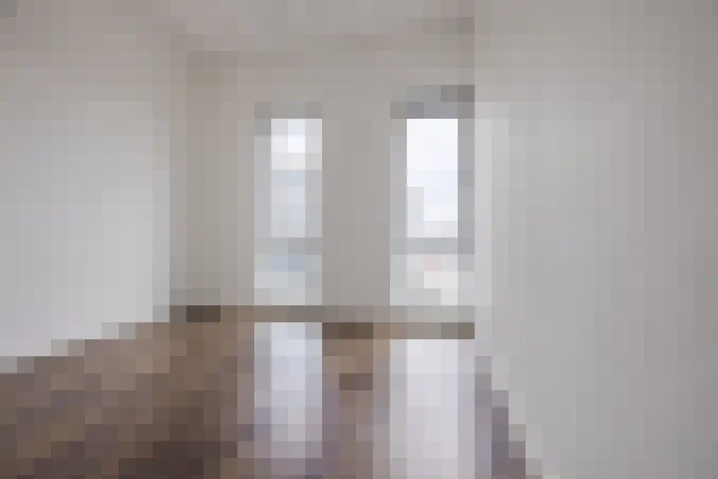 Binckhorstlaan 311 G Den Haag thumbnail 16