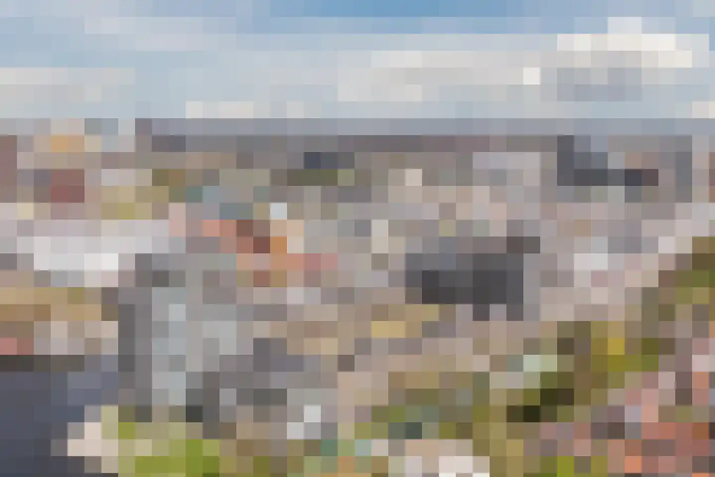 Binckhorstlaan 311 M Den Haag thumbnail 20