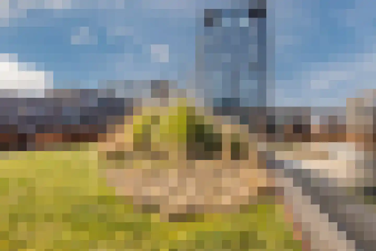 Binckhorstlaan 311 M Den Haag thumbnail 23