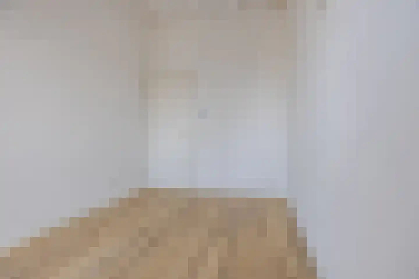 Binckhorstlaan 311 Q Den Haag thumbnail 16