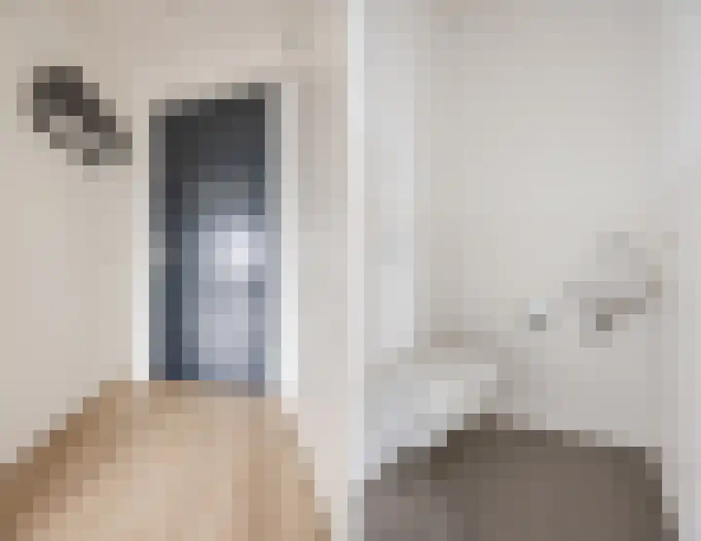 Binckhorstlaan 311 R Den Haag thumbnail 11