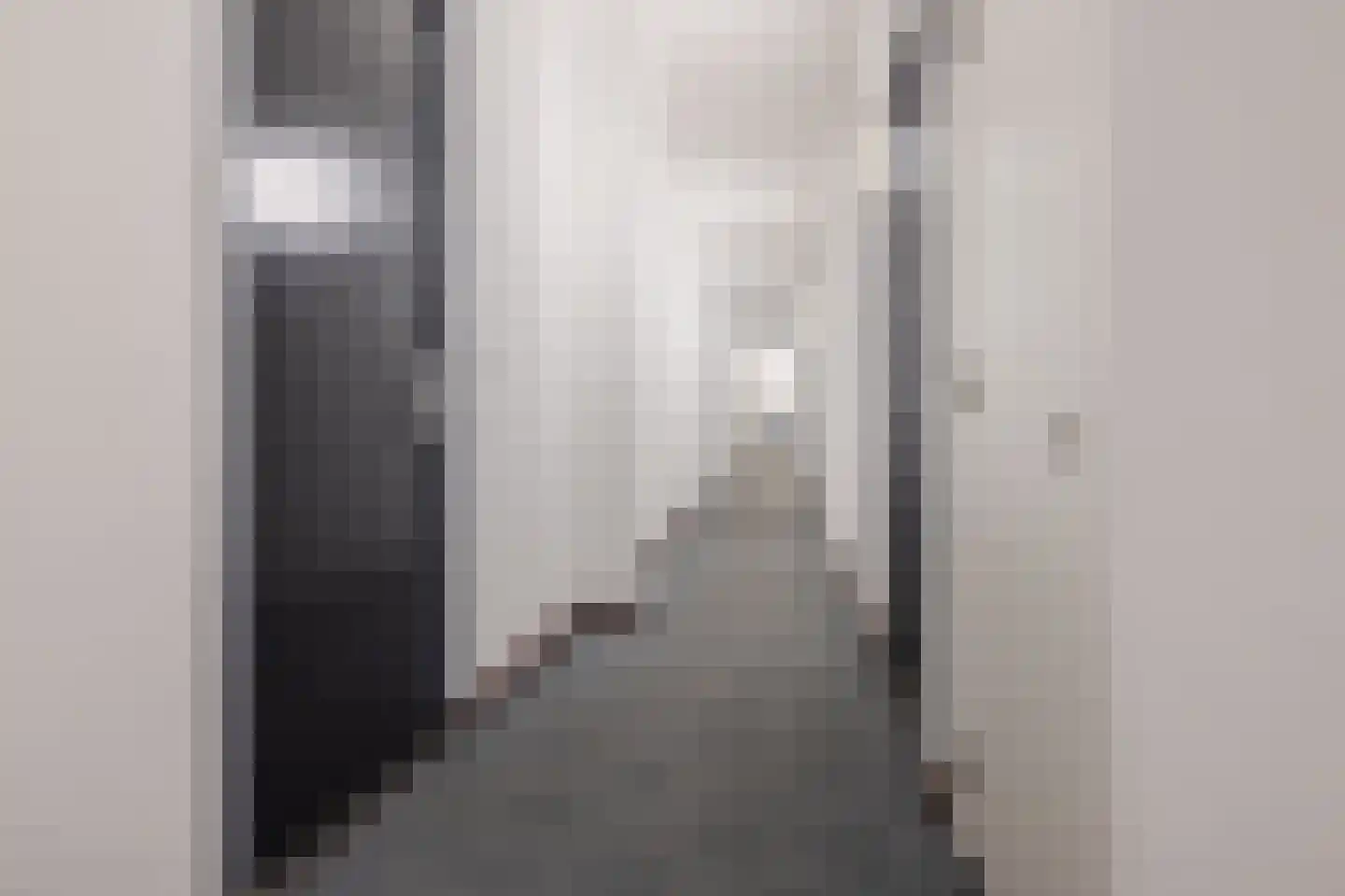 Binckhorstlaan 311 R Den Haag thumbnail 11