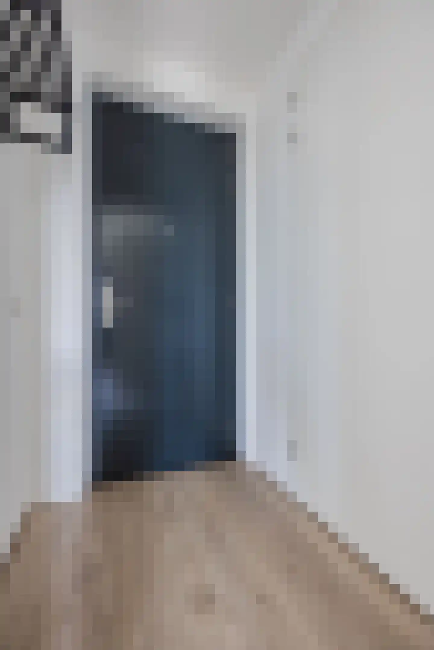 Binckhorstlaan 311 R Den Haag thumbnail 12