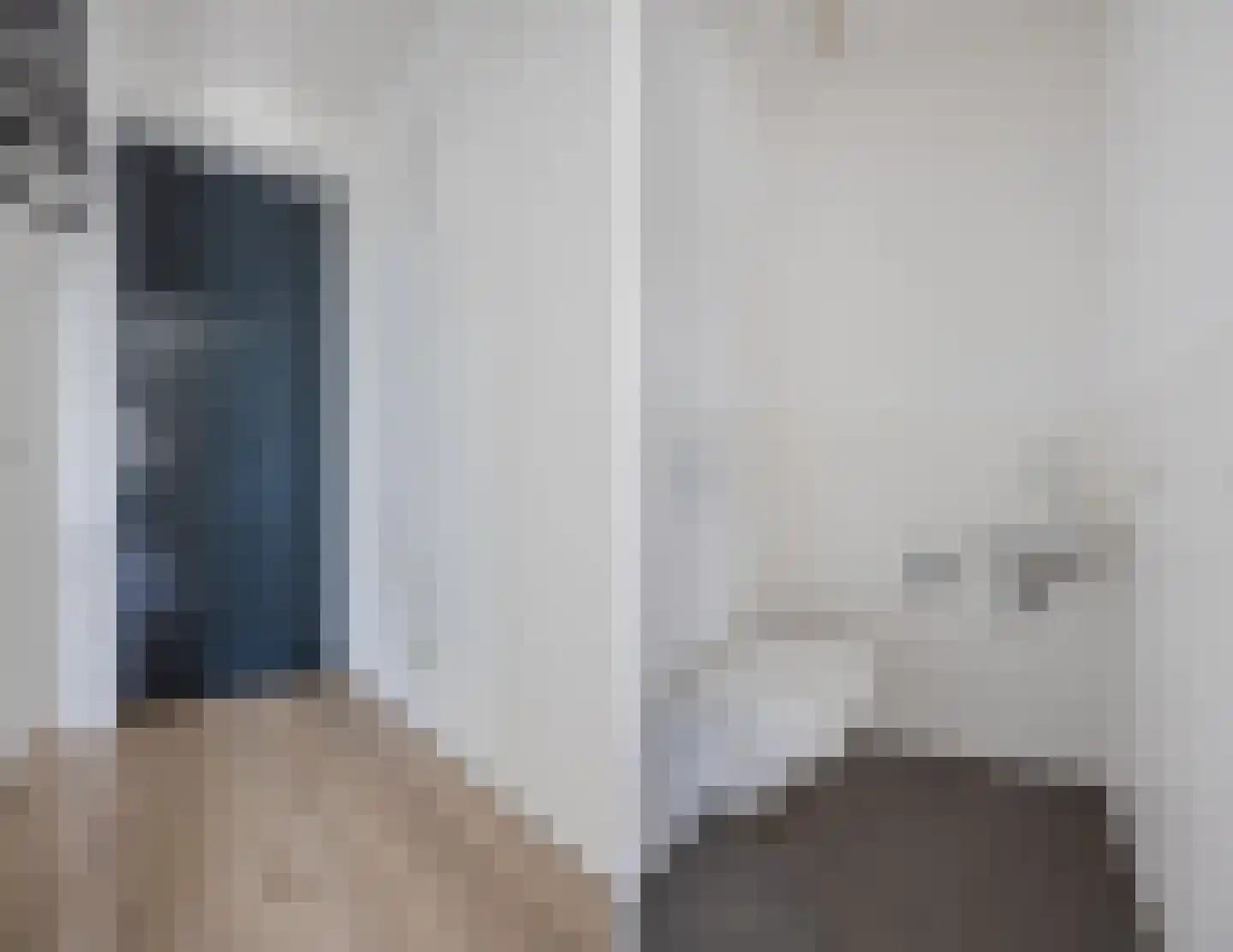 Binckhorstlaan 311 R Den Haag thumbnail 14