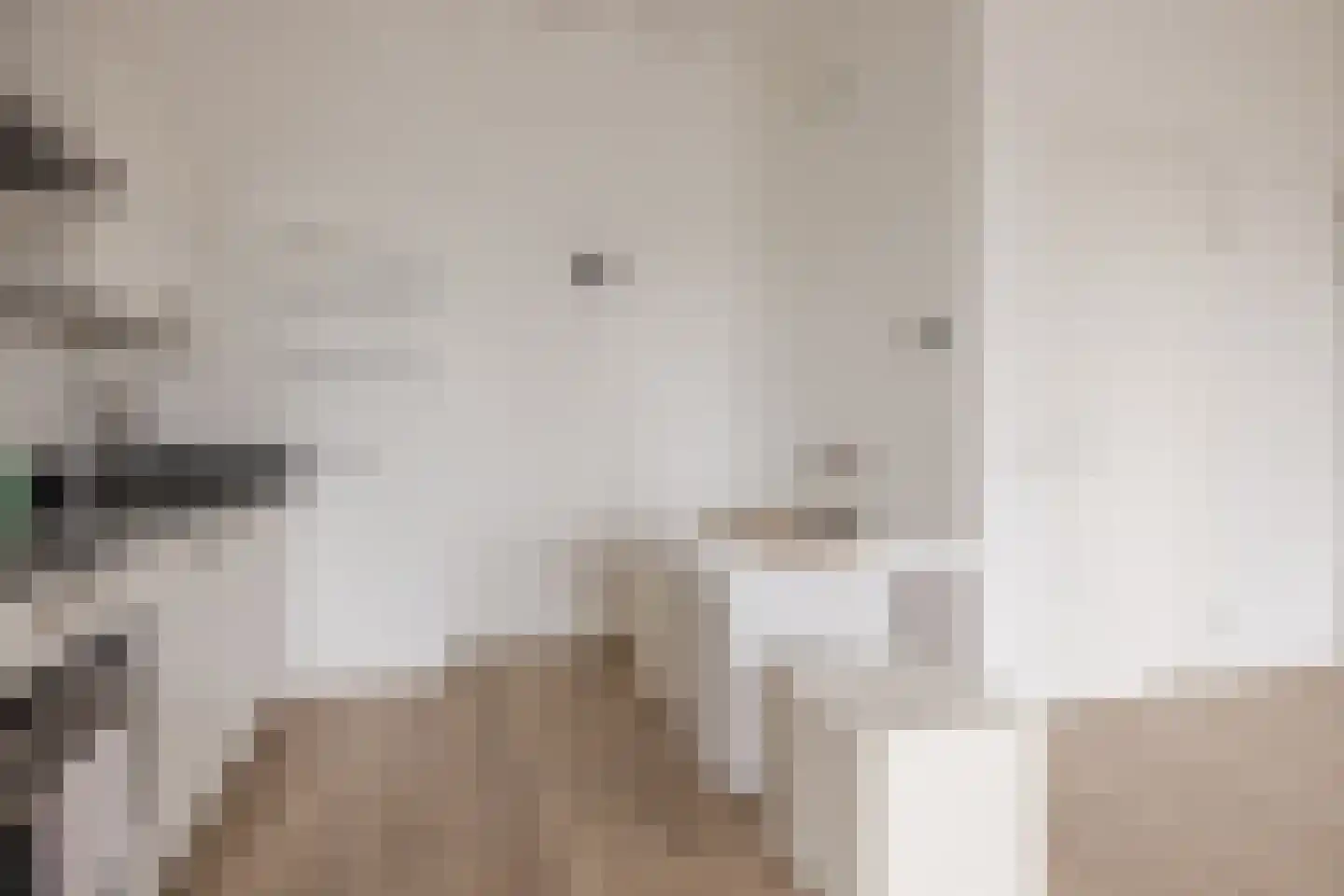 Binckhorstlaan 311 R Den Haag thumbnail 15